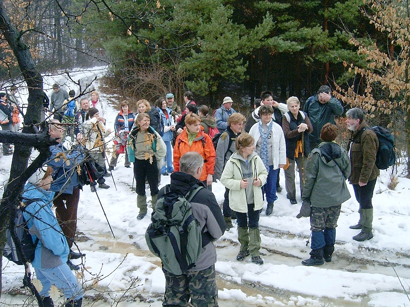 20100220 023.jpg